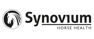 Synovium